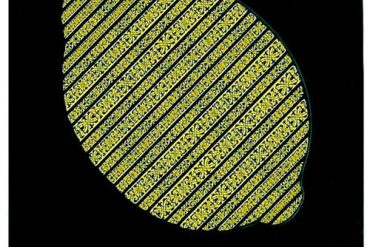 calamaro javier limon